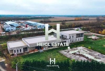 Casă cu Teren 6802 Mp în Albina - 4