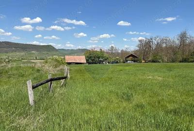 Teren de 659000 mp, în Copșa Mică - 10