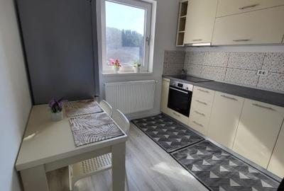 Garsonieră decomandată, mobilată în Frumoasa - 5