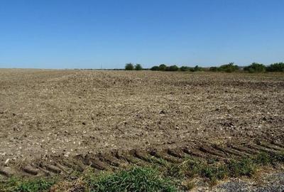 Teren de 5000 mp, în Valu lui Traian - 12