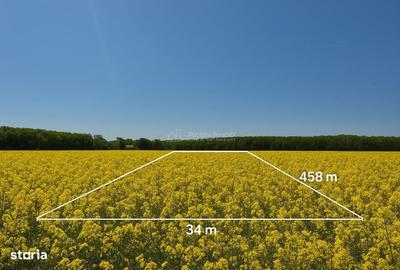 Teren de 13500 mp, în Dascălu - 6