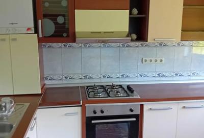 Ap cu 2 camere de inchiriat la vila,in Crisan - 5