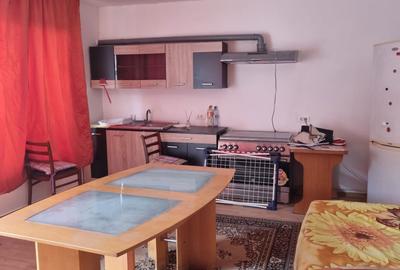 Garsonieră nedecomandată în Șagului - 1