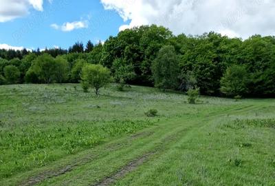 Teren de 25000 mp, în Central - 2