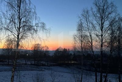 Cabana spectaculoasa, 6 camere, totul nou, padure, Rasca ! - 19