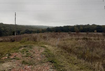 Vand teren intravilan in zona Fac.Sapientia - 7