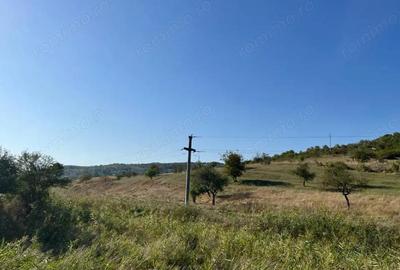Teren de vanzare 11.400 mp, str. Podgorenilor, Dej - 3