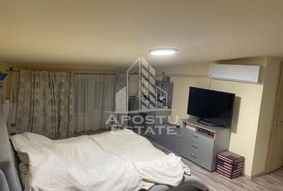 Penthouse cu 4 camere pe 2 nivele In Giroc langa scoala. - 16