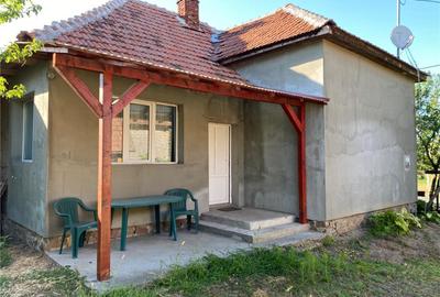 Casă cu 3 camere cu Teren 1709 Mp în Scărișoara Nouă - 1