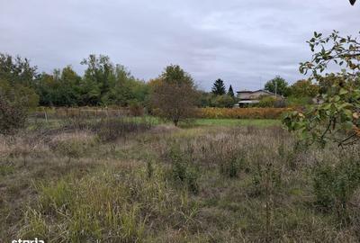 Teren de 1900 mp, în Corbeanca - 3