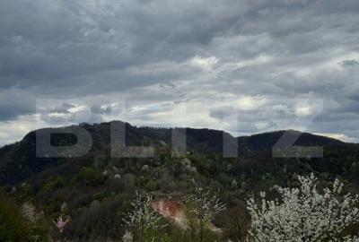 Vand casa cu 1 ha de livada in Carmazanesti - 1