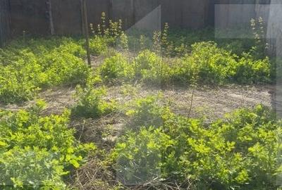 Oportunitate-Casa cu 3 camere, 110 mp, 450 mp teren, zona ultracentrala - 2