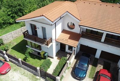Vila Deosebita - Mogosoaia - 2