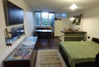 Persoana fizica ofer spre inchiriere garsoniera - 3