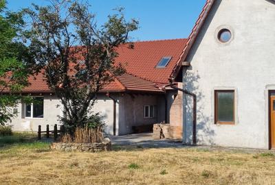 Casa Pensiune in Viile Satu Mare teren 1,63 ha, 11 camere, 10 bai - 18