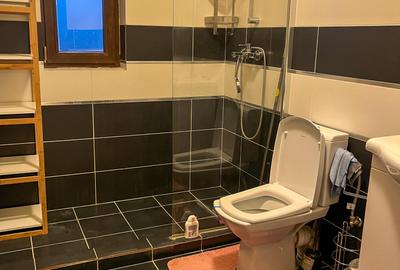 Casă individuală de închiriat – Balotești, cartier privat, 3 dormitoare, 2 bai - 13