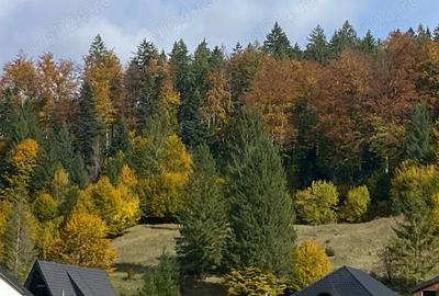 Teren de 4100 mp, în Periferie - 2