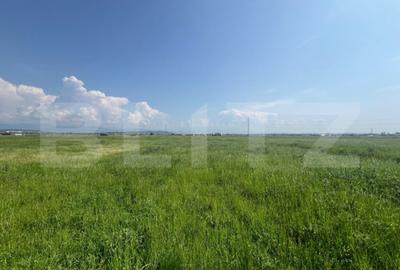 Teren de 10000 mp, în Centura