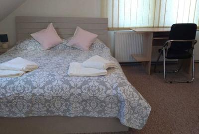 Casă cu 2 camere în Decebal - 4