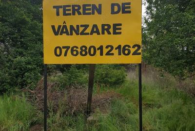 Teren de 1000 mp, în Ișalnița - 2