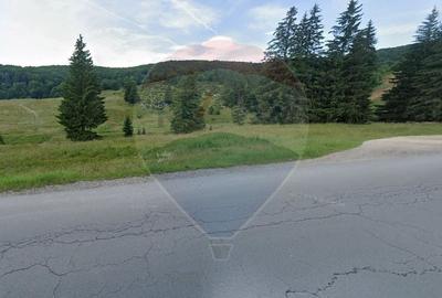 Teren intravilan de 6750 / 13500 mp in Poiana Brasov - 3