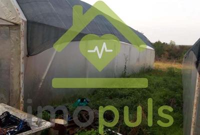 ? Teren intravilan in Jupani (Timis), 10,19 Euro/mp.? - 1