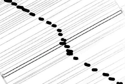 Teren de 7466 mp, în Țigănași - 4