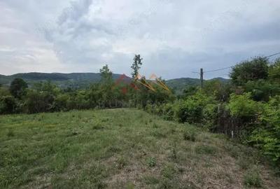 Teren Intravilan, utilitati in zona, 2600 mp, Draganeasa, Prahova - 2