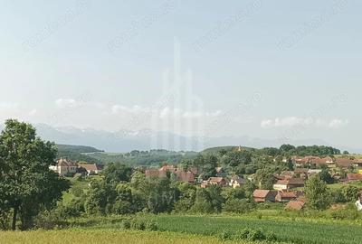 Teren in Somartin . Comision 0% - 2