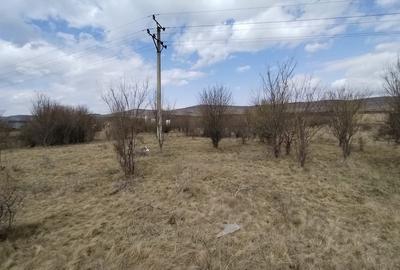 Teren de vanzare, 1.3HA., utilitati, acces din DN - 3