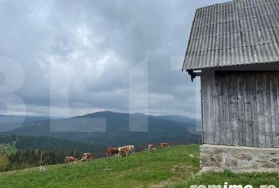 Casă cu 3 camere cu Teren 600 Mp în Beliș - 14
