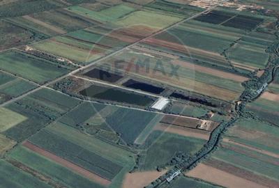 Proprietate industriala de vanzare - 102.420 mp - loc. Zauan jud.Salaj - 2