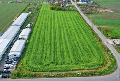 Teren agricol intravilan de 7811 mp, în Ciolpani - 2