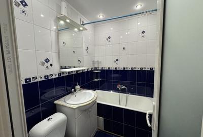 Apartament cu 3 camere in Astra, str Barbu Lautaru - 11