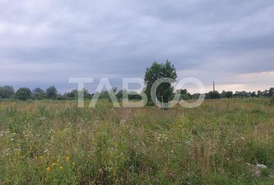 Teren intravilan 5040 mp in Sercaia acces DN1 168 m - 3