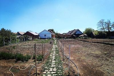 Casă cu Teren 1600 Mp în Central - 7