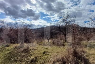 Teren de 2500 mp, în Centura