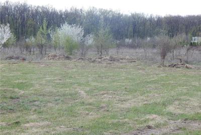Teren de 1000 mp, în Băneasa - 2