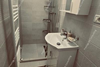 Apartament cu 3 camere decomandat, mobilat în Torontalului - 8