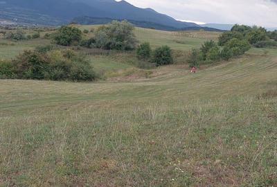 Teren de 8900 mp, în Bradu - 2