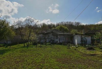 Casă cu 4 camere cu Teren 2300 Mp în Băneasa - 6