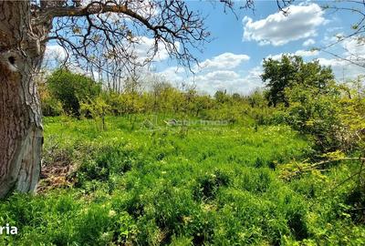 Spațiu comercial, în Cârlomănești - 2