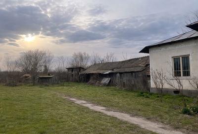 Casă cu 2 camere în Nicolae Bălcescu - 2