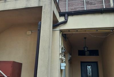 Drumul Taberei, Lidl Moinesti, Spatiu comercial si Vila rezidentiala - 13