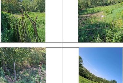 Casa si teren Apostolache, ID R2202581 - 4