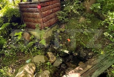 Casă individuală cu 6 camere cu Teren 1000 Mp în Exterior Vest - 12