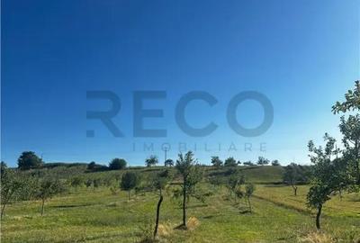 Casă cu 2 camere cu Teren 4000 Mp în Budureasa - 4