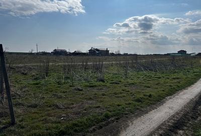 Teren Construcții intravilan de 475 mp, în Techirghiol - 3