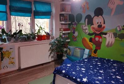 Apartament cu 2 camere decomandat în Lăpuș Argeș - 3