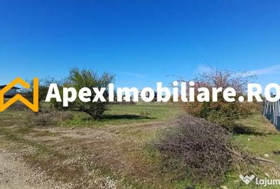 Teren în Corbeanca - 5
